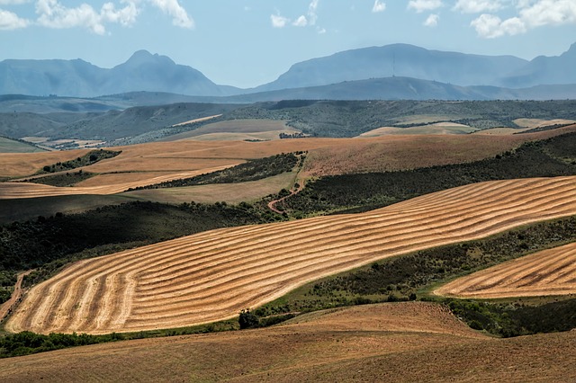 Pubblicazione pratica su terreno sottoposto a vincolo idrogeologico