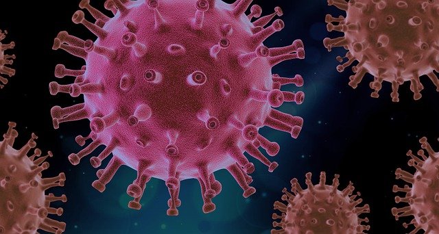 Nuovo coronavirus SARS-CoV-2 Linee guida per la ripresa delle attività economiche e sociali