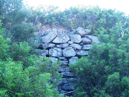 Su cumonale Nurache Pruna