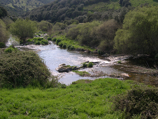 Riu Mannu