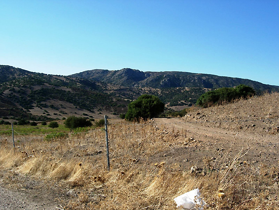 Su Cumonale