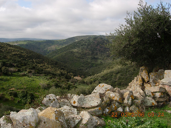 Le campagne circostanti