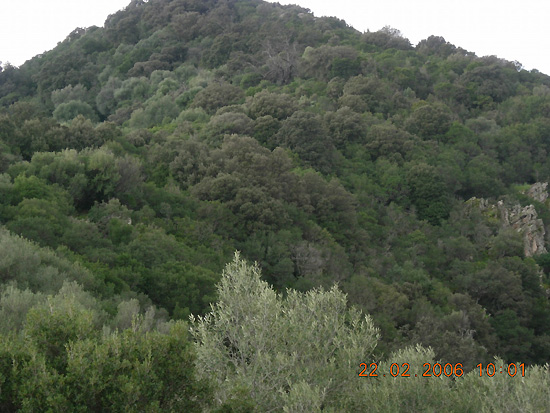 Le campagne circostanti