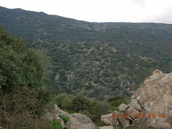 Le campagne circostanti