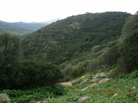 Le campagne circostanti